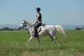 MAT_9627