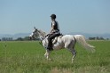 MAT_9628