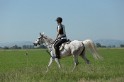 MAT_9629