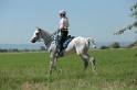MAT_9646