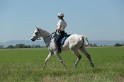 MAT_9647