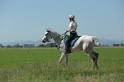 MAT_9648