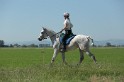 MAT_9649