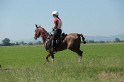 MAT_9651