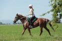 MAT_9655