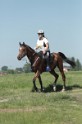 MAT_9664