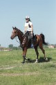 MAT_9665