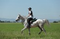 MAT_9681