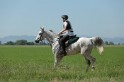 MAT_9682