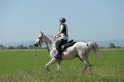 MAT_9684
