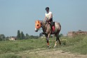 MAT_9699