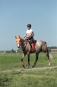 MAT_9702