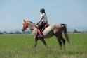 MAT_9706