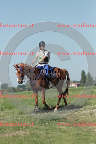 MAT_9748.JPG