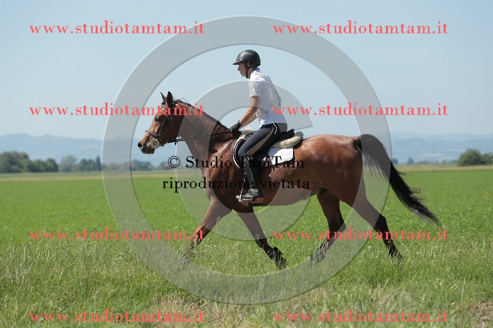 MAT_9815.JPG