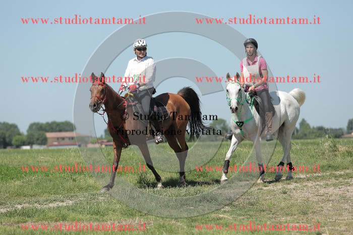 MAT_9897.JPG