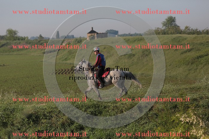 MAT_2094.JPG