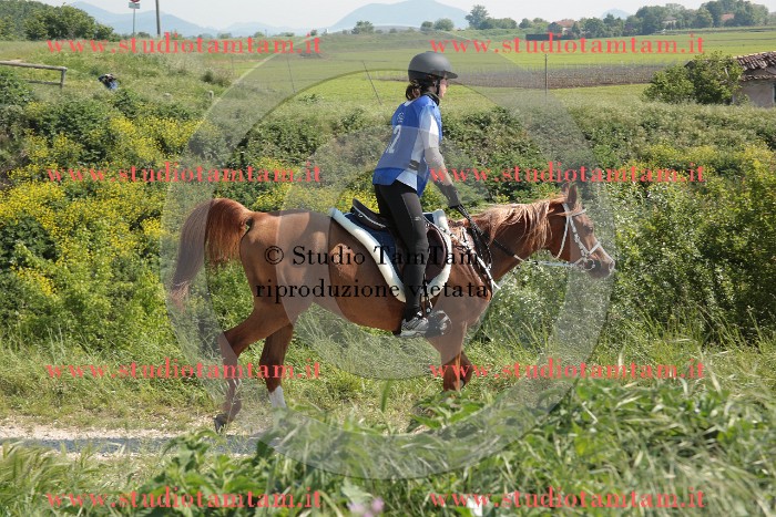 MAT_2590.JPG