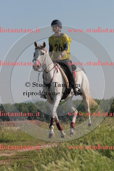 IMGB1673.JPG