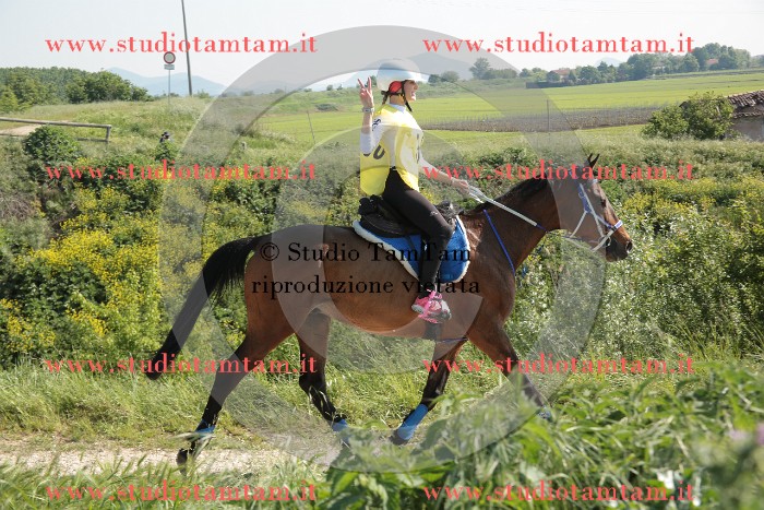 MAT_2314.JPG