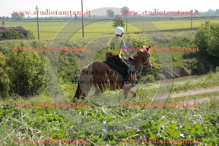 MAT_2418.JPG