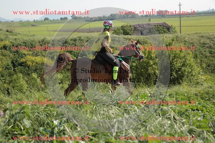 MAT_2477.JPG