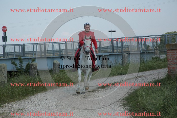 MAT_2787.JPG