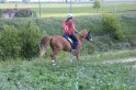 MAT_2827