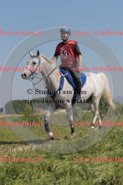 IMGB2512.JPG