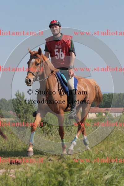 IMGB2561.JPG