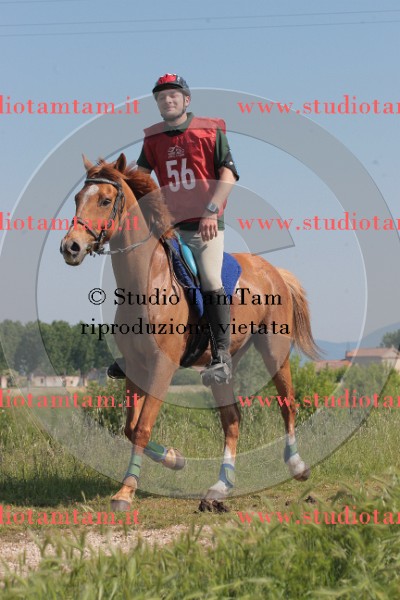 IMGB2565.JPG