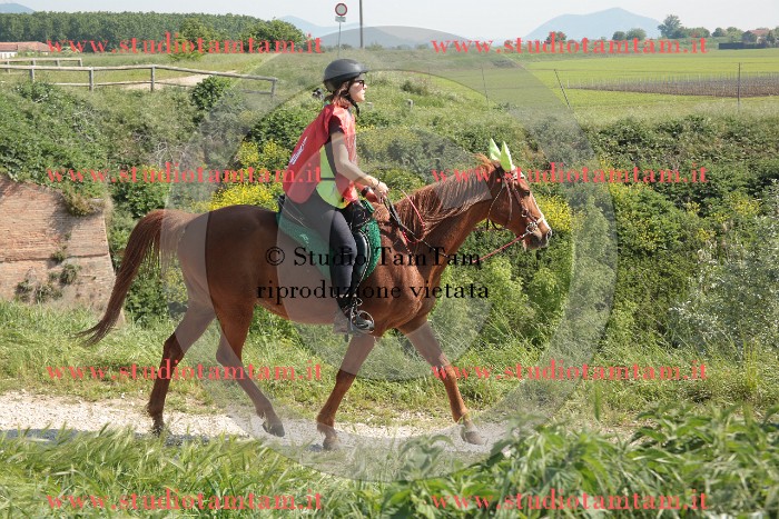 MAT_2622.JPG