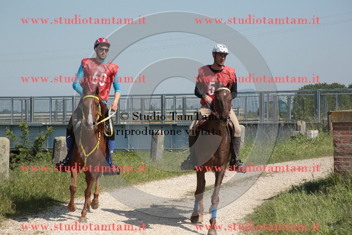 MAT_2705.JPG