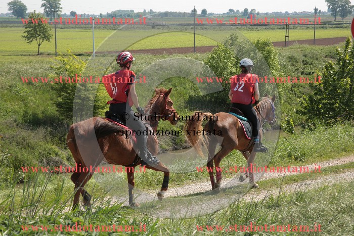 MAT_2733.JPG