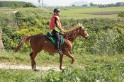 MAT_2623