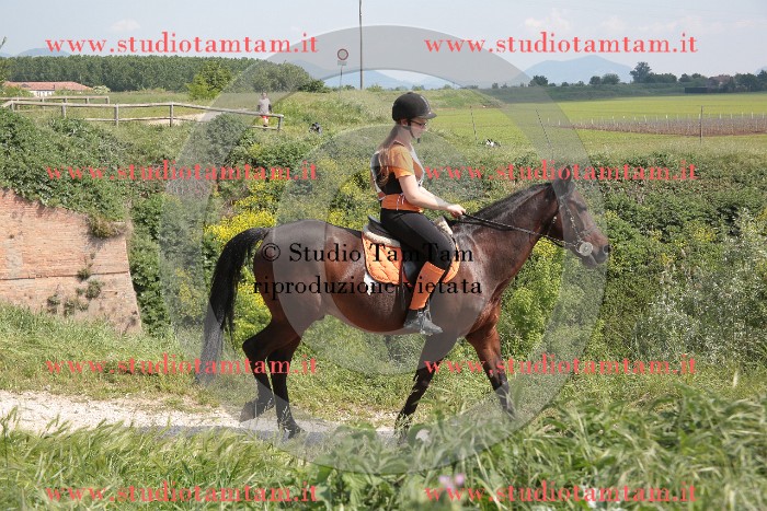 MAT_2854.JPG