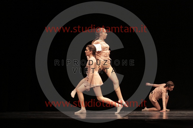 MAT_8008.JPG