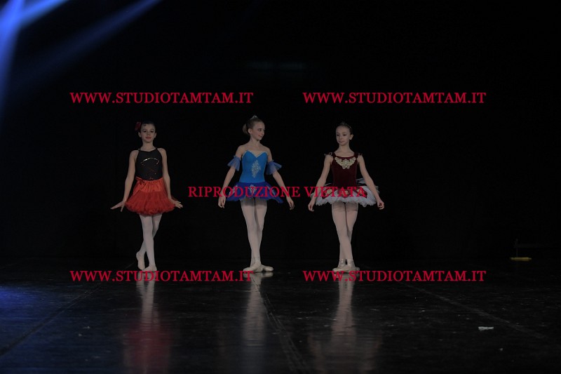 DSC_2946.JPG