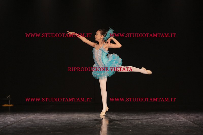 MAT_3556.JPG