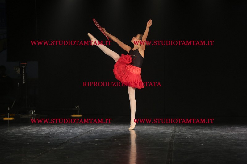 MAT_3657.JPG