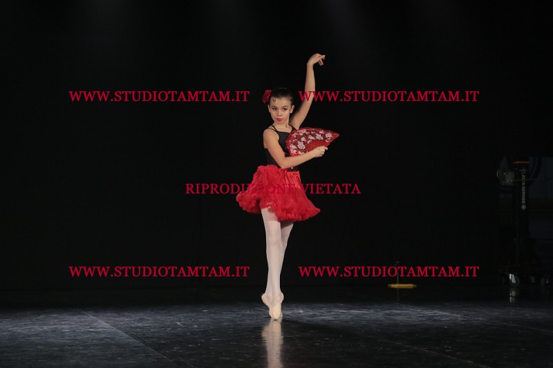 MAT_3661.JPG