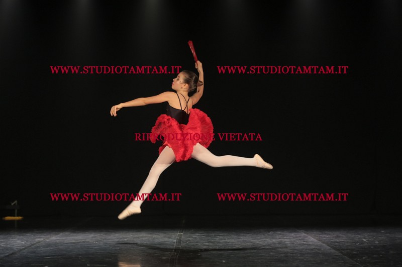 MAT_3663.JPG