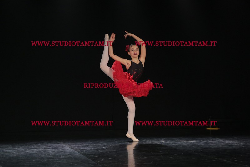 MAT_3680.JPG