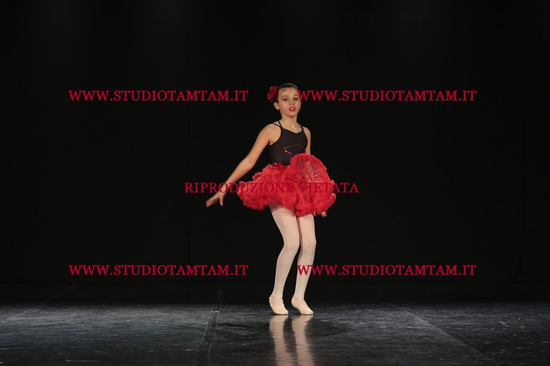 MAT_3686.JPG