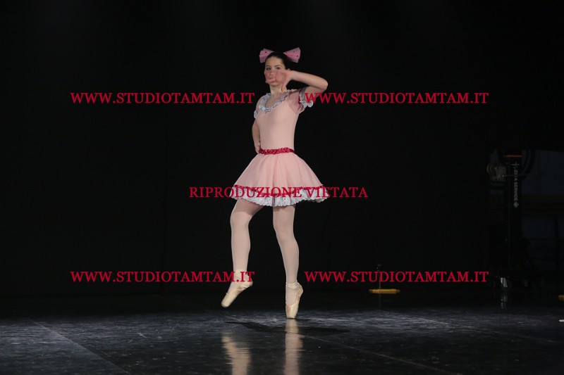 MAT_3700.JPG