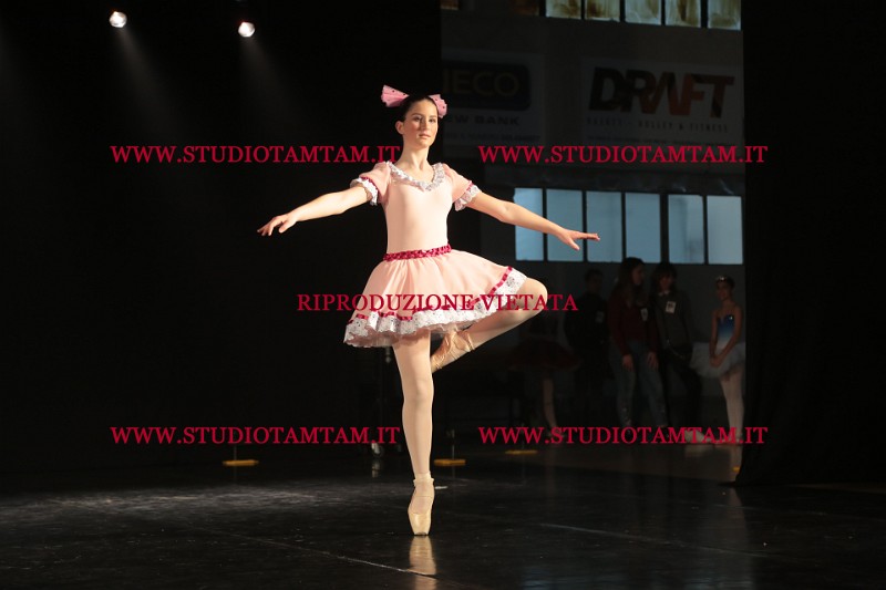 MAT_3710.JPG