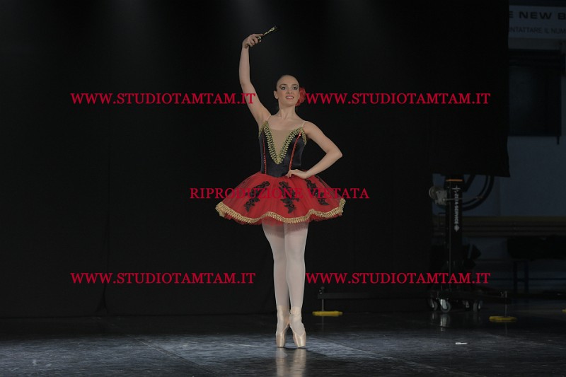 DSC_1135.JPG