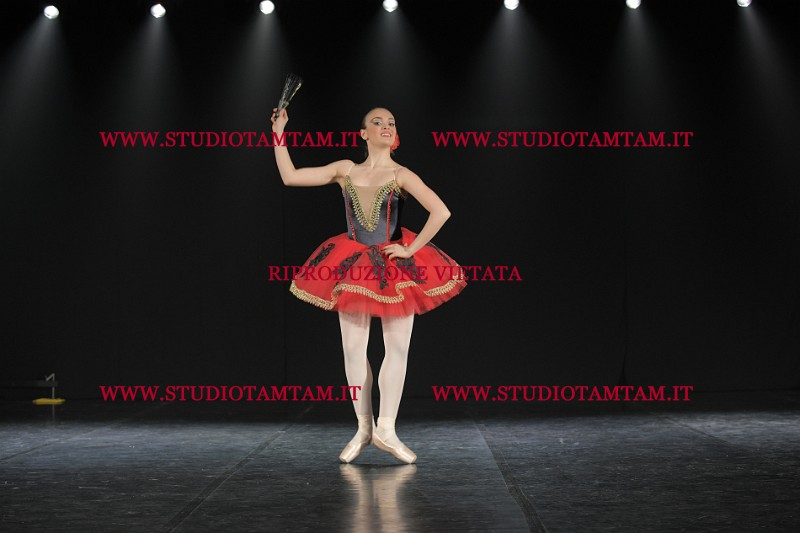 DSC_1165.JPG