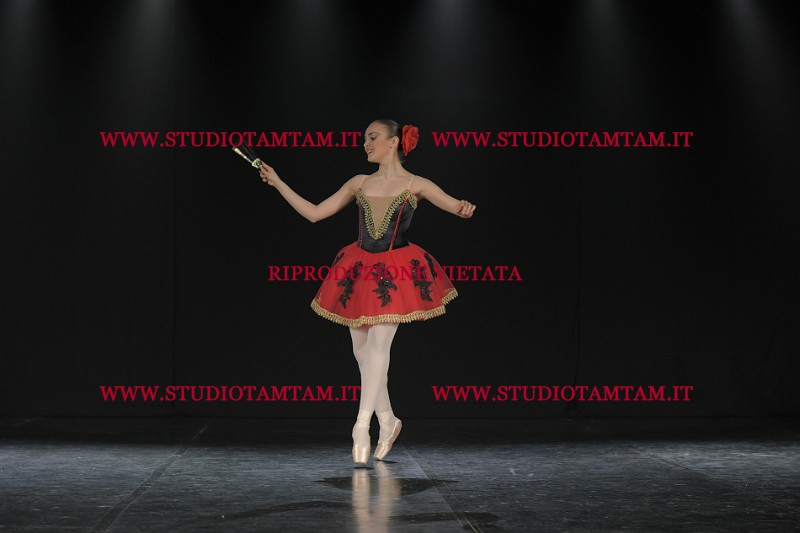 DSC_1183.JPG