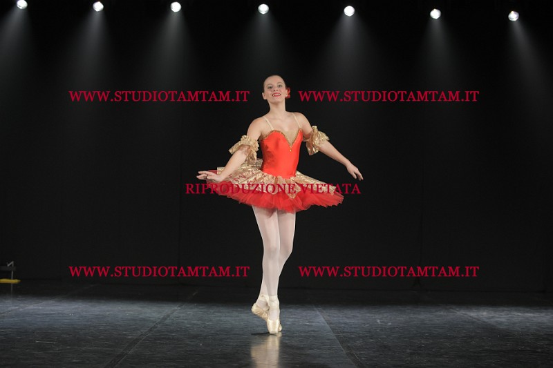 DSC_1189.JPG